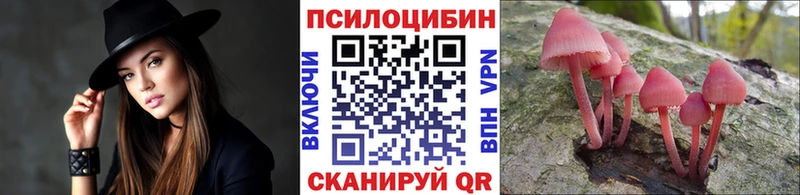 купить наркотики цена  Вичуга  Галлюциногенные грибы Cubensis 